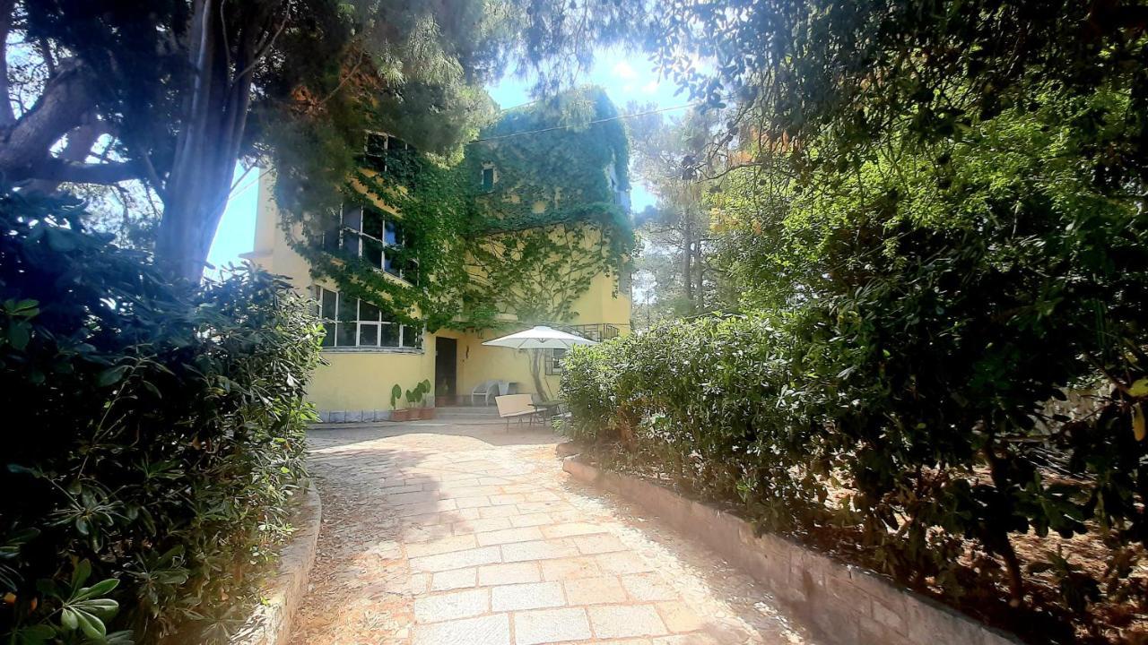 Old Captain'S Apartments - In A Pine Wood By The Sea And Tennis Courts Split Extérieur photo
